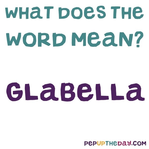 glabella