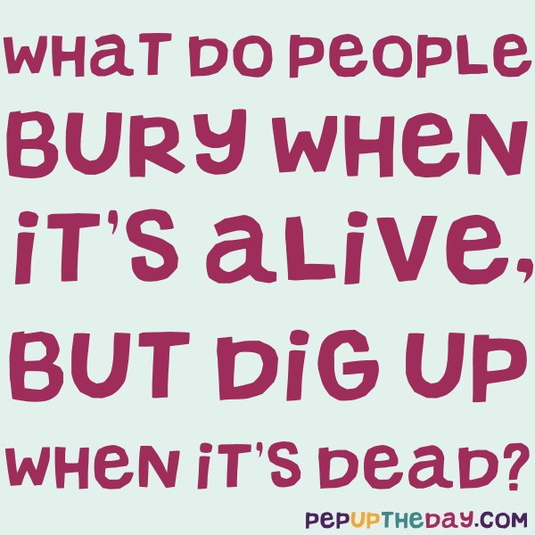 My Jobs In Kenya.com - What do you bury when it's alive and dig up when  it's dead? #riddle #riddlemethis #riddleoftheday #challenge #brainteaser # quiz #knowledgetest #doyouknow #riddlesdaily #brainchallenge #coolriddles  #puzzle #challengemethat